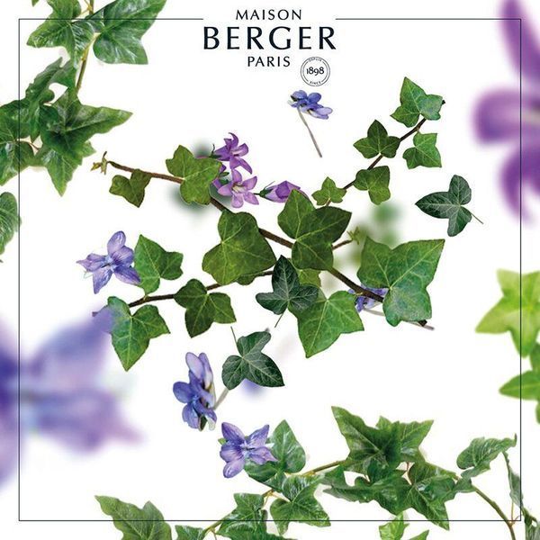 Aroma diffuser Maison Berger PREMIUM Maison Berger6189-BER photo