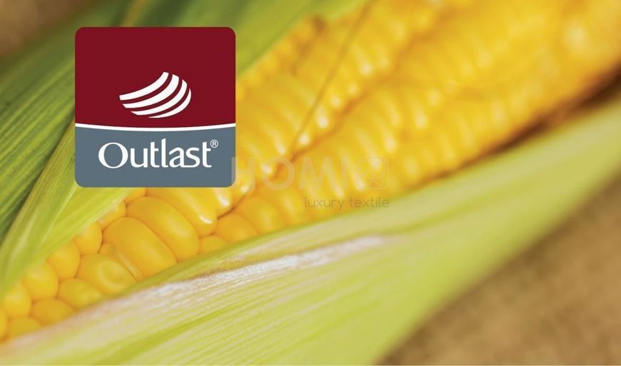 Ковдра Hefel Outlast&reg; & Maize (GD) Всесезонне Hefel4280GD фото