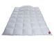 Ковдра пухова Hefel Platinum Down 100 (GD) Всесезонне HefelD22494GD6 фото 2