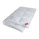 Ковдра пухова Hefel Platinum Down 100 (GD) Всесезонне HefelD22494GD6 фото 1