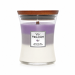 Ароматична свічка Woodwick Ellipse Trilogy Amethyst Sky Woodwick_1707527E_275 фото