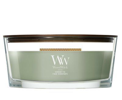 Aromatic candle with fig and cedar scent Woodwick Ellipse Verdant Fig 453 g Woodwick_2674291E photo