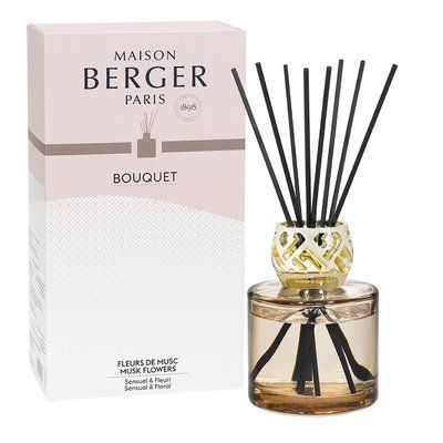 Aromadiffuser Maison Berger SENSO Maison Berger6617-BER photo