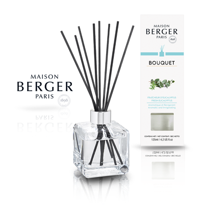 Aromadiffuser Maison Berger ICE CUBE Maison Berger6192-BER photo