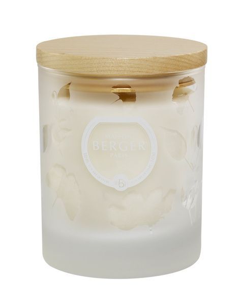 Aromatic candle Maison Berger Maison Berger6360-BER photo
