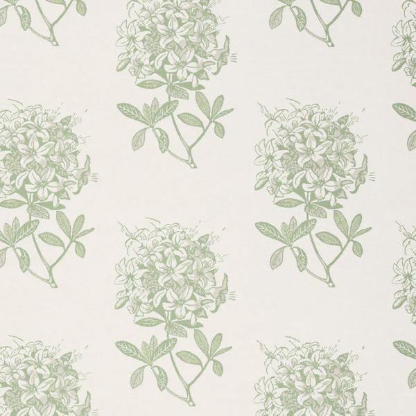 Хлопковый плед Biederlack Italian Collection белый/зеленый 150x200 см 799579 фото