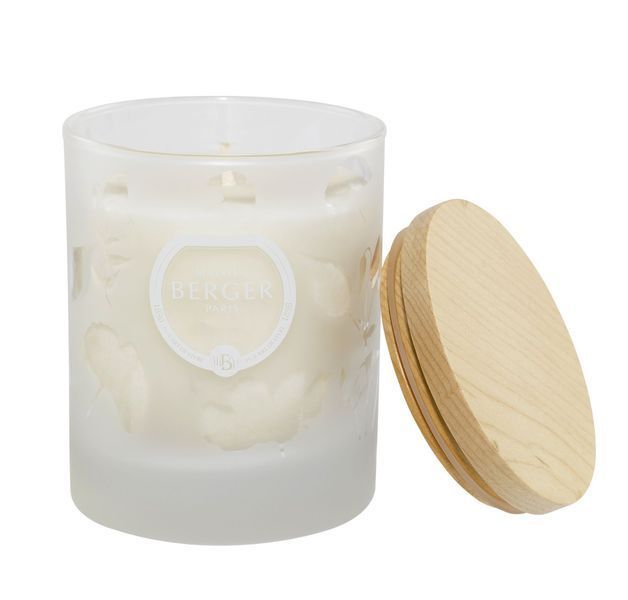 Aromatic candle Maison Berger Maison Berger6360-BER photo