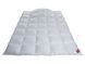 Одеяло пуховое Hefel Platinum Down 100 (WD) Зимнее HefelD4294WD5 фото 2