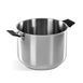 4.6 liter Barazzoni 33 Carati Inox pot with lid. Barazzoni170101020 photo 1