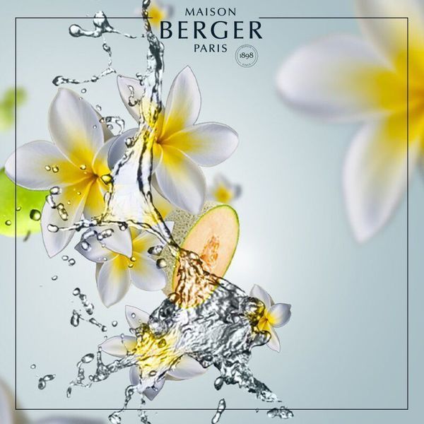 Aromatic candle Maison Berger Maison Berger6362-BER photo