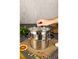 Vinzer Progresso 3.4 liter 20 cm pot Vinzer50054 photo 10