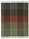 Плед BIEDERLACK Plaid 450 GR SHEFFIELD GREEN luli783790 фото 2