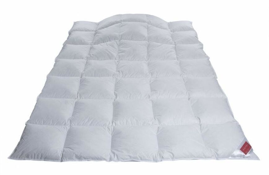 Одеяло гагачий пух Hefel Eiderdown (GD) Всесезонное HefelD24651GDKS фото