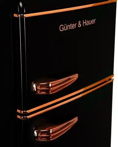 FN 275 CG: Gunter & Hauer freestanding refrigerator GHFN275CG photo