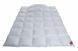 Hefel Eiderdown Duvet (GDlight), Light HefelD24651GDKSlight photo 4
