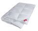 Hefel Eiderdown Duvet (GDlight), Light HefelD24651GDKSlight photo 1