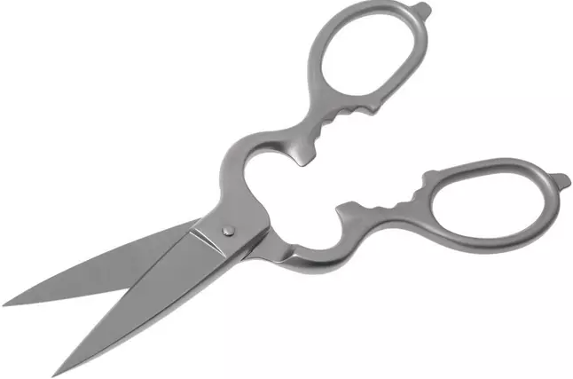 W&uuml;sthof Kitchen Shears 21 cm gray kitchen scissors W&uuml;sthof1059594901 photo