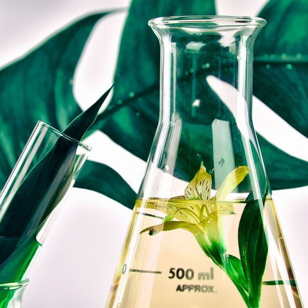Laundry perfume Laboratori Protecto EXOTIC Laboratori ProtectoEX250-0004 photo