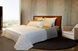 Signoria Firenze Sorriso cover Signoria Firenze2050012 photo 1