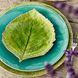 Pasta plate Costa Nova Riviera 25.5 cm turquoise. Costa Nova560673993462 photo 3