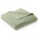 Плед BIEDERLACK Uno Cotton Salbei 140x180 см 743343 фото