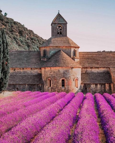 Наповнювач для Аромадифузору Collines de Provence DUO Collines de ProvenceC2848AHE фото