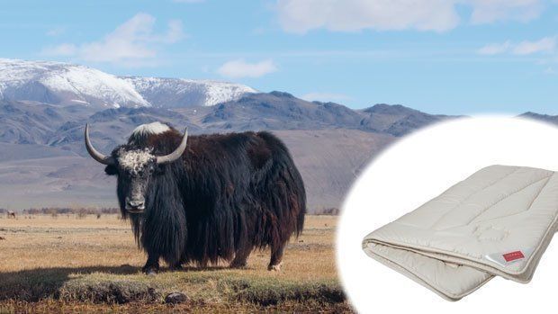 Одеяло шерсть як+овечья Hefel Pure Yak-Wool (GD) Всесезонное Hefelh4276140200 фото