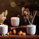 Аромадиффузор "TWIST BLANC" BERNARDAUD_1797/22615 фото 2