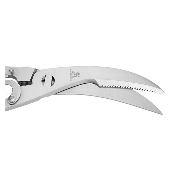 Zwilling poultry shears, 24 cm Zwilling42903-000-0 photo