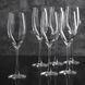 Glasses Bohemia Megan 230ml for champagne 6pcs. Bohemia40856/230 photo 1