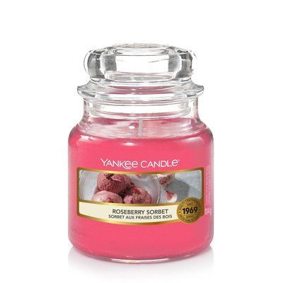 Ароматическая свеча Yankee Candle CLASSIC SMALL HOLAND1651427E фото