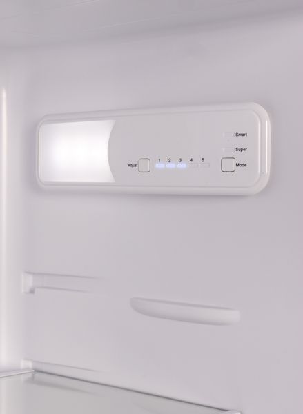 FBL 253: built-in refrigerator Gunter & Hauer GHFBL253 photo