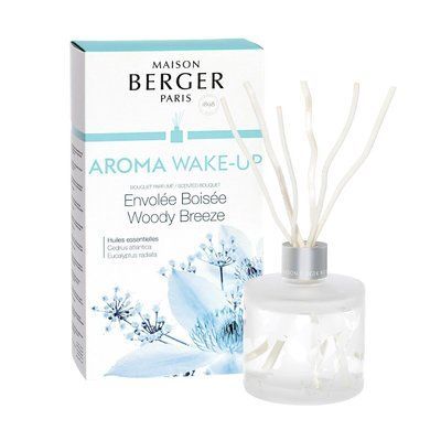 Aromadiffuser Maison Berger AROMA Maison Berger6231-BER photo