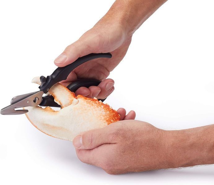 Kitchen Craft Master Class seafood scissors Kitchen CraftMCSFSHEARS photo