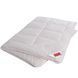 HEFEL SILK Dream (GD) blanket all -season silk, 140x200 cm, One and a half Hefel4259GD photo 1