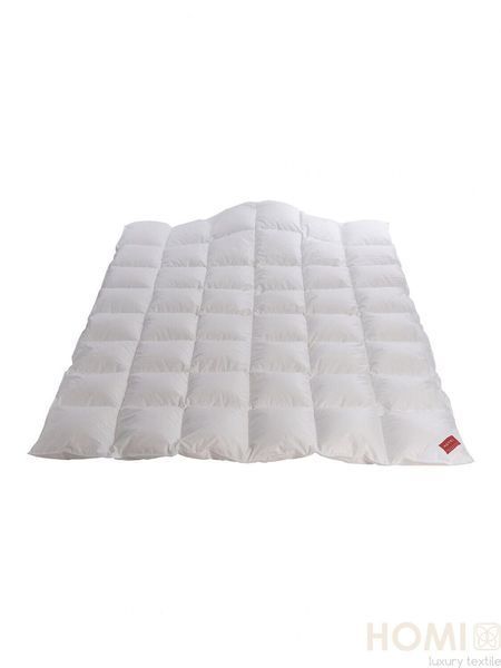 Hefel De Luxe Down Tencel 100 Duvet (GDlight), Light HefelD24670GDLight8 photo