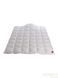 Hefel De Luxe Down Tencel 100 Duvet (GDlight), Light HefelD24670GDLight8 photo 3