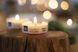Ароматична свічка Woodwick PETITE CANDLE HOLAND1666254E фото 3