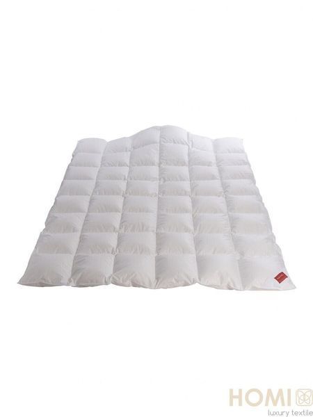Одеяло пуховое Hefel De Luxe Down Tencel 100 (GD) Всесезонное HefelD4270GD6 фото