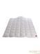 Одеяло пуховое Hefel De Luxe Down Tencel 100 (WD) Зимнее HefelD4270WDC фото 3