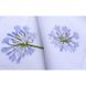 Серветка Agapanthus ERI_TEXTILES_TC4-91-0 фото 2