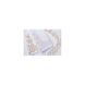 Салфетка Arabesk ERI_TEXTILES_TC 22-0-gold фото 2