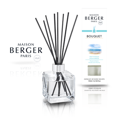 Aroma diffuser Maison Berger BQT CUBE Maison Berger6000-BER photo