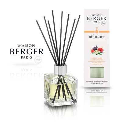 Aroma diffuser Maison Berger BQT CUBE Maison Berger6019-BER photo