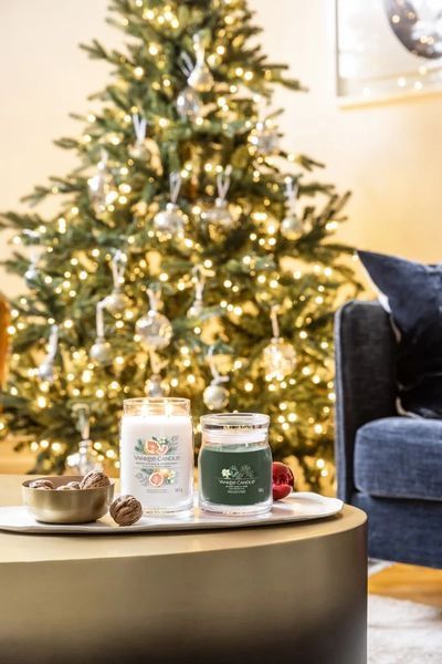 Ароматическая свеча Silver Sage & Pine Yankee Candle Yankee_Candle_1630027E_368 фото