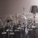 Бокал для портвейна "HARCOURT 1841 GLASS 5" BACCARAT_1201105 фото 3