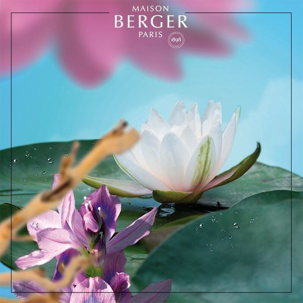 Scent - Maison Berger Refill Maison Berger23963-2-BER photo