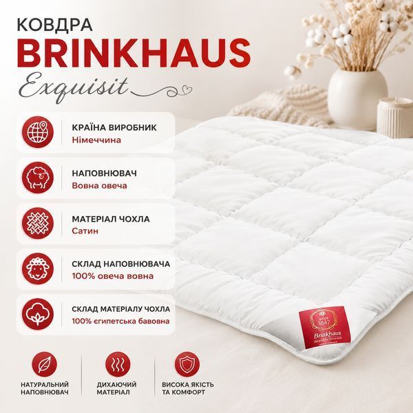 Ковдра BRINKHAUS Exquisit, Білий, Євро, 200x220 см luli50605 фото