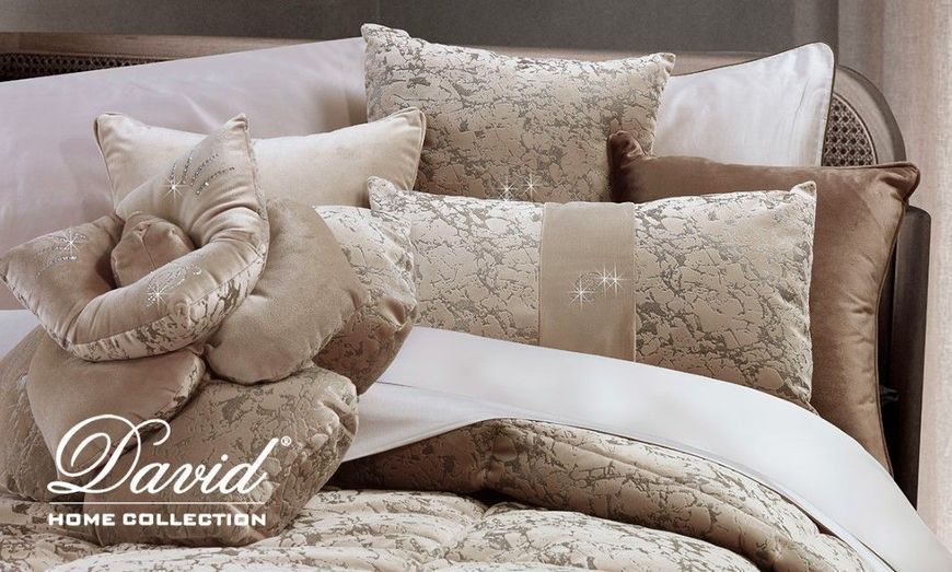 Elite blanket David Home Revolution (dense) David Homed366110903 photo