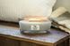 Ароматична свічка Woodwick ELLIPSE HOLAND76135E фото 4